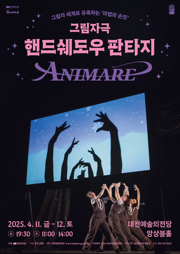핸드쉐도우 판타지 ANIMARE [대전] 공연 포스터