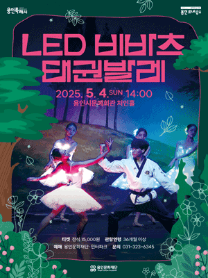 LED 비바츠 태권발레 [용인] 공연 포스터