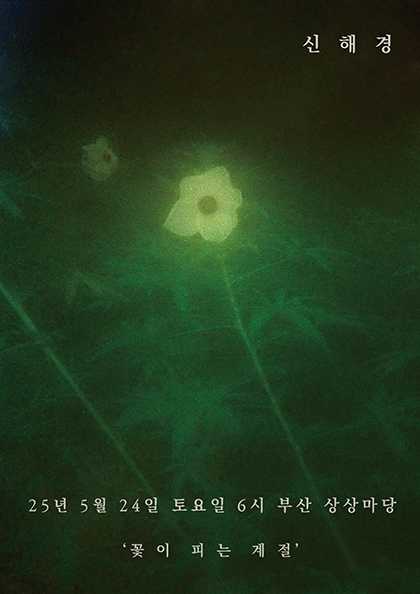 신해경 단독 공연: 꽃이 피는 계절 [부산] 공연 포스터