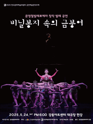 문영철발레뽀에마, 비닐봉지 속의 금붕어 공연 포스터