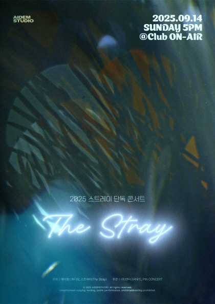 스트레이 단독 콘서트: The Stray 공연 포스터